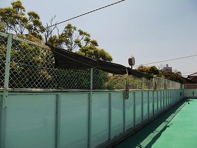 DSCF2593.jpg