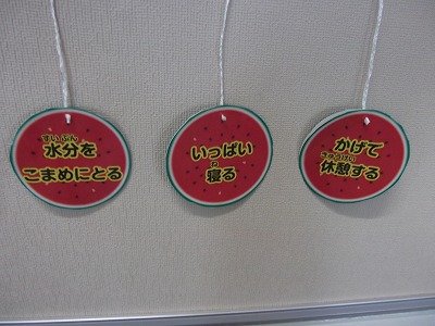 DSCF2924.jpg
