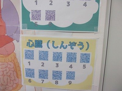 DSCF2950.jpg