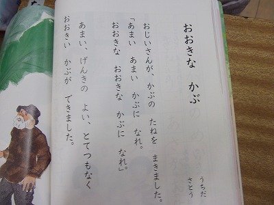 DSCF2956.jpg