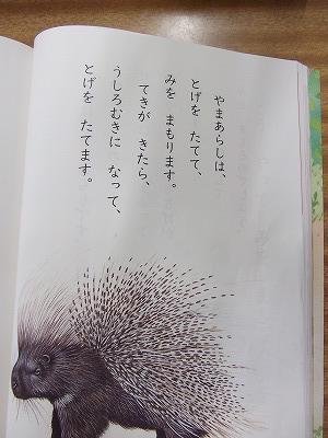 DSCF2961.jpg
