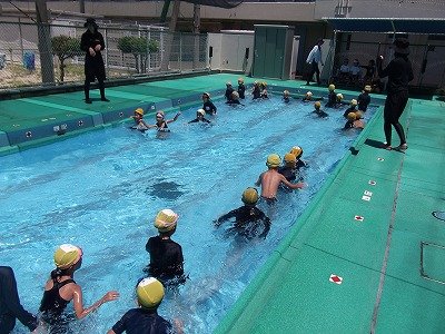 DSCF3071.jpg