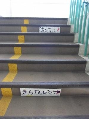 DSCF3442.jpg