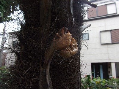 DSCF3745.jpg