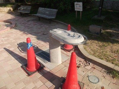 DSCF3790.jpg