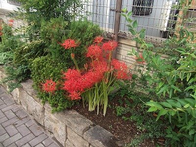 DSCF3839.jpg