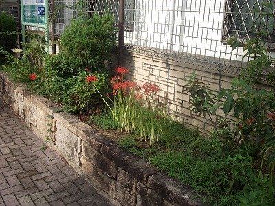 DSCF3840.jpg
