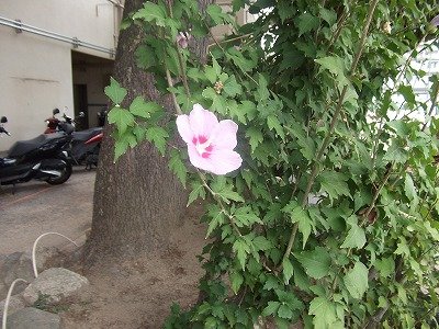 DSCF3920.jpg