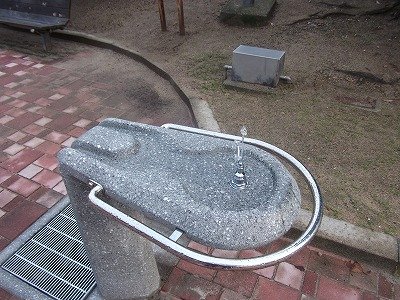 DSCF4061.jpg