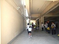 DSCN8207.jpg