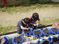 DSCN8223.jpg