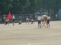DSCN8277.jpg