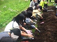 DSCN8434.jpg