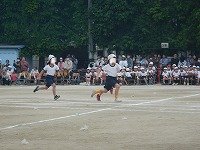 DSCN8527.jpg
