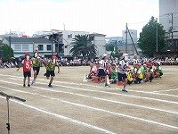 DSCN8531.jpg