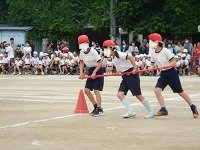 DSCN8554.jpg