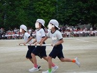 DSCN8561.jpg