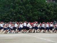 DSCN8566.jpg