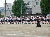 DSCN8567.jpg