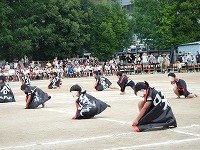 DSCN8574.jpg