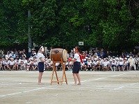 DSCN8604.jpg