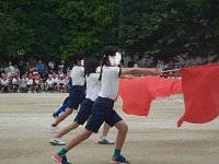 DSCN8725.jpg