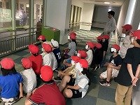 IMG_2231.jpg