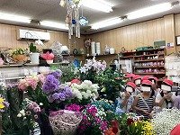 IMG_0311.jpg