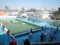 DSCN8789.jpg