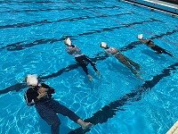 IMG_0390.jpg