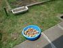 DSCN9066.JPG
