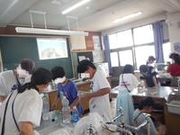 DSCN9071.JPG