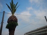 DSCN9298.jpg