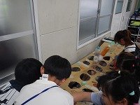 DSCN9409.jpg