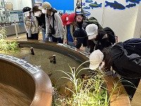 IMG_0462.jpg