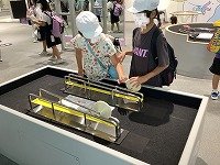 IMG_3113.jpg