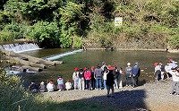 IMG_0513.jpg