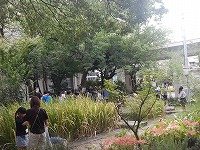 DSCN9670.jpg
