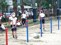 DSCN9679.jpg