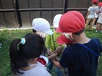 DSCN9909.jpg