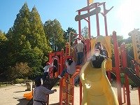DSCN9991.jpg