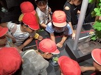 IMG_1175.jpg