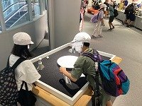IMG_3117.jpg
