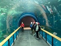 IMG_0467.jpg