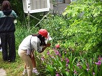 DSCN1240.jpg