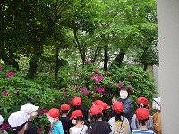 DSCN1301.jpg