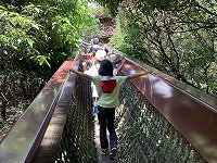 IMG_4993.jpg