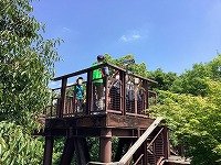 IMG_4992.jpg