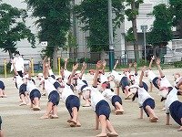 DSCN1378.jpg
