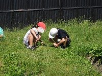 DSCN1427.jpg